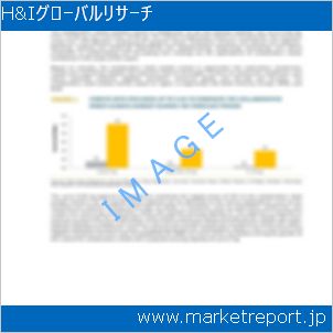 市場と産業調査レポートのイメージ